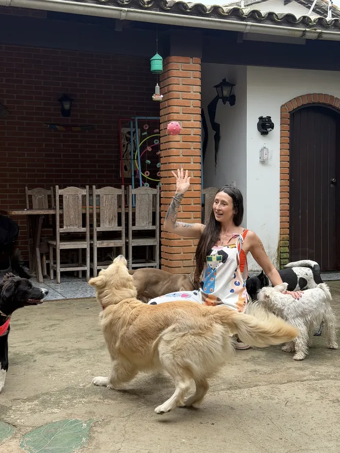 Tainara brincando com os cachorros hospedados no quintal.